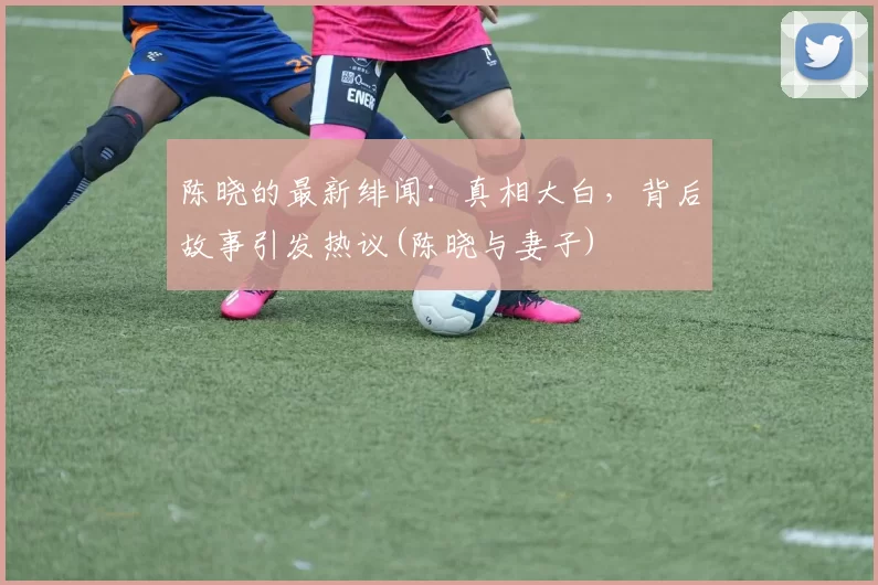 陈晓的最新绯闻：真相大白，背后故事引发热议(陈晓与妻子)