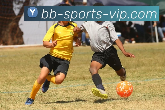 百博体育VIPAPP 体育赛事宣传图